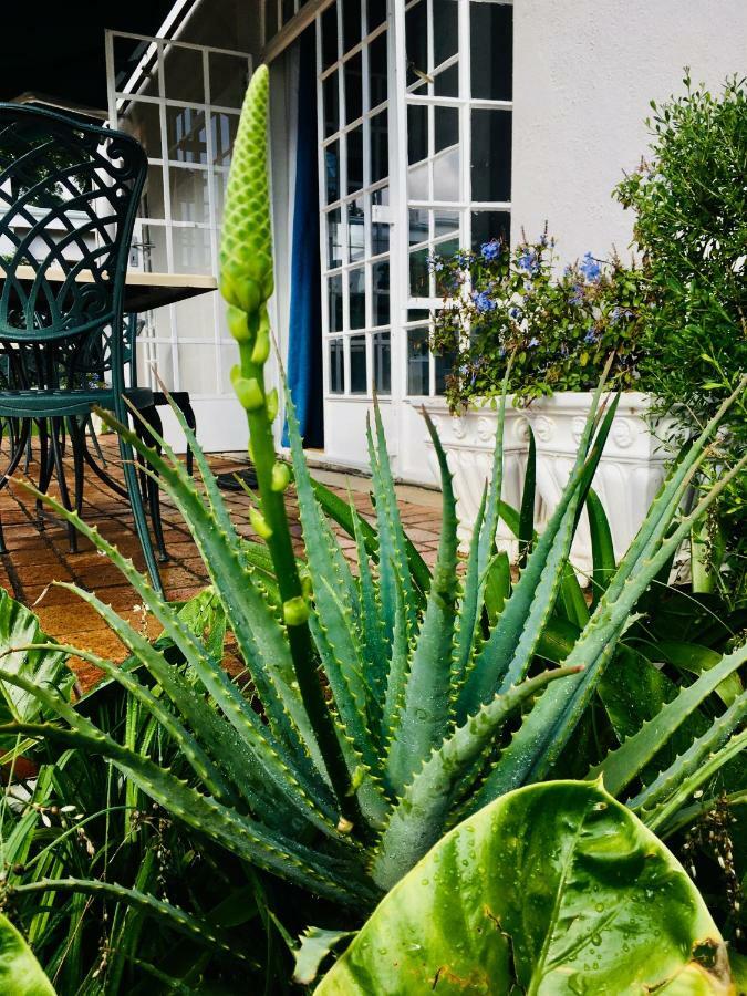Melville Manor Guest House Johannesburg Dış mekan fotoğraf